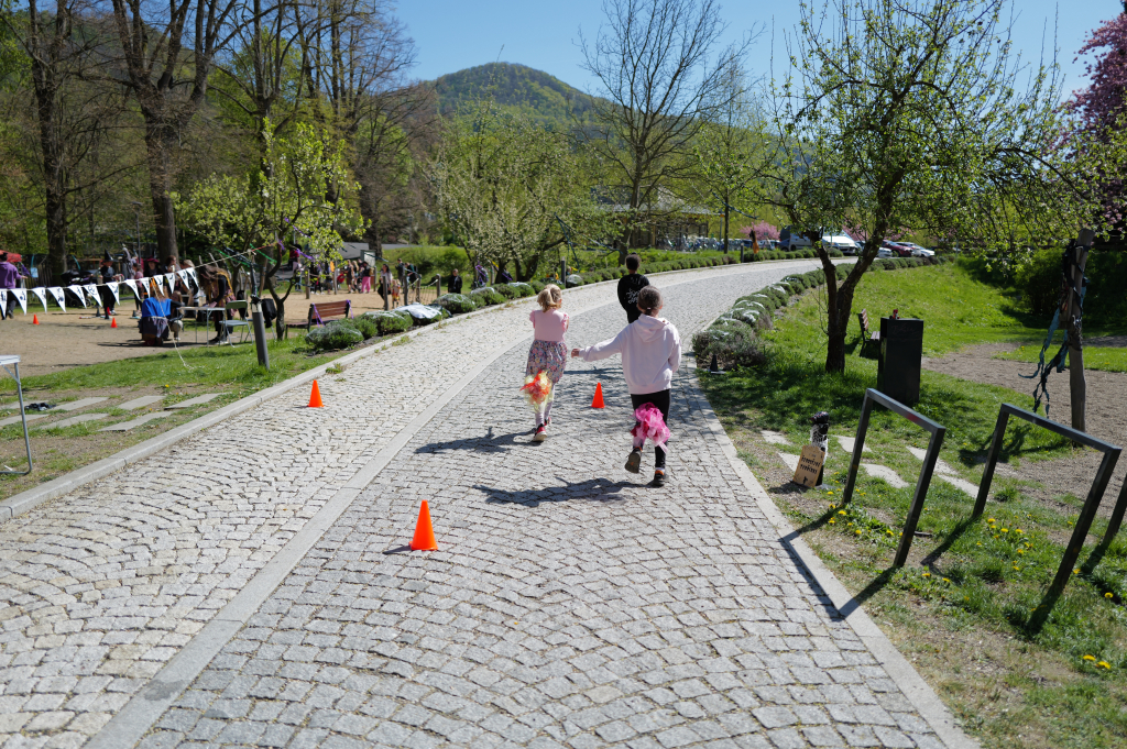 L1071115.JPG