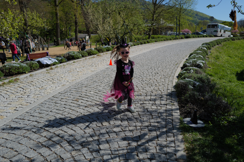 L1071175.JPG