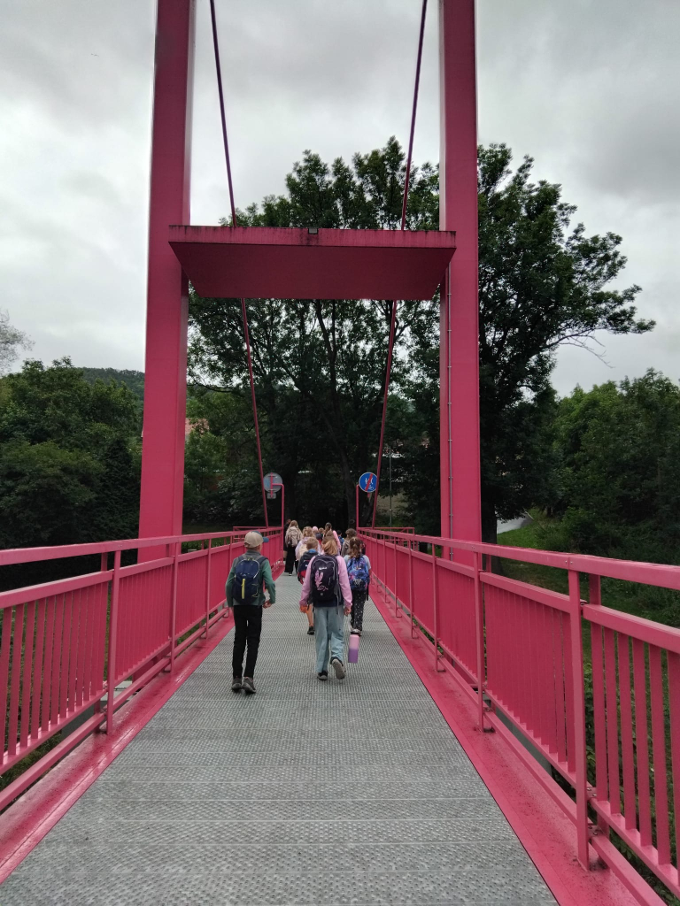 6d9180b8-e4ee-41a6-b39f-31e45cea218c.jpeg