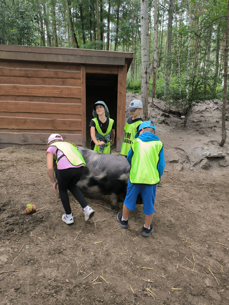 13c22067-78f1-415e-9997-1b133e6006e9.jpeg