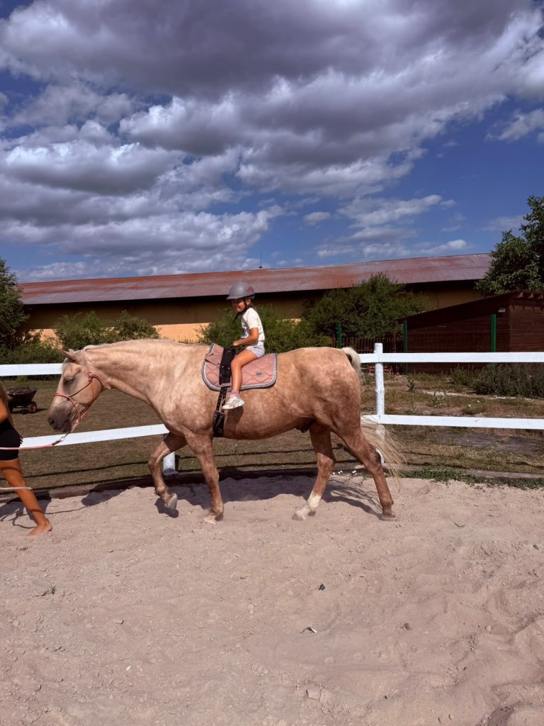 9e767624-0635-4002-a5cf-4f344a1178e8.jpeg