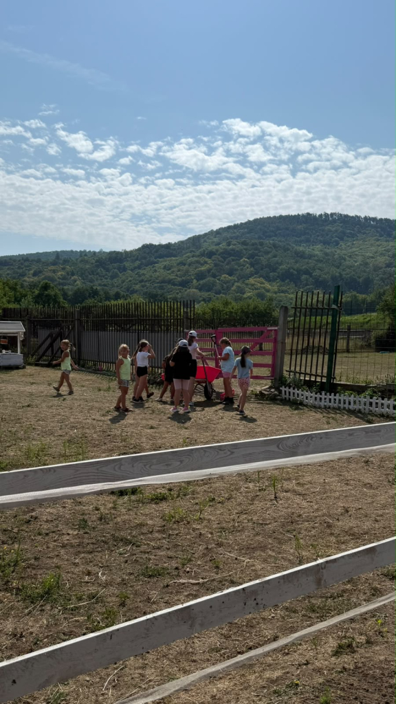 612b8bf1-7d10-428b-a009-e78afa04a424.jpeg