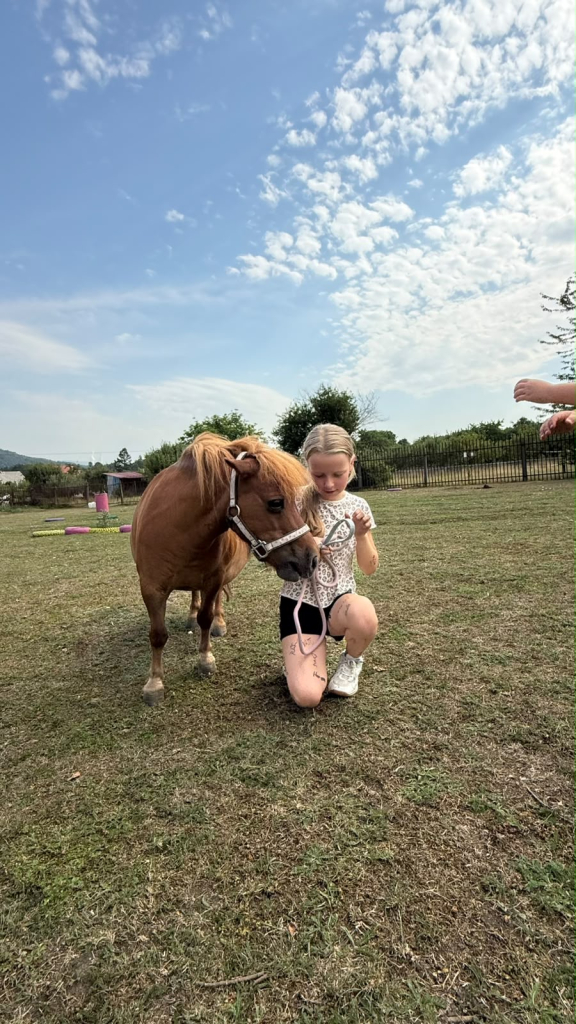 97cee5b1-62ab-464a-94ec-32c645390b60.jpeg