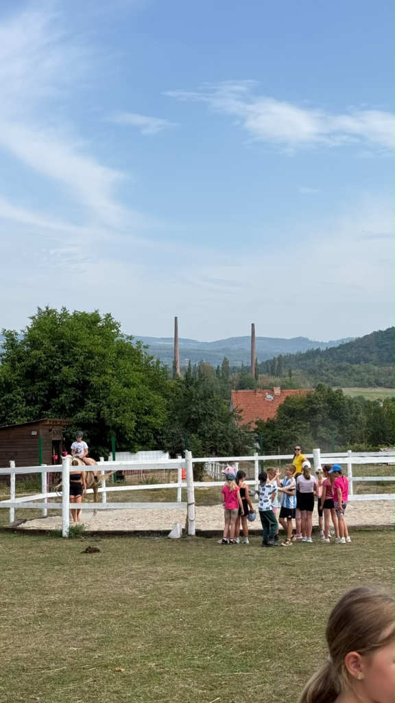90de929e-5c34-4f04-a6ed-d46dbf7f1ab7.jpeg