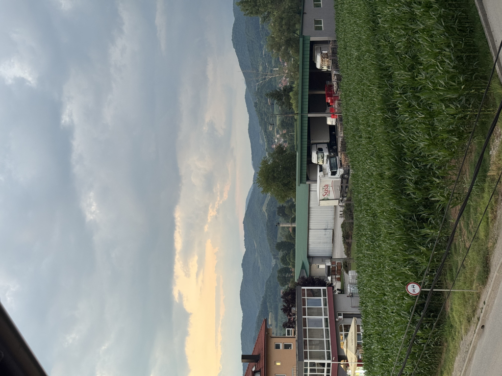 IMG_4350.jpeg