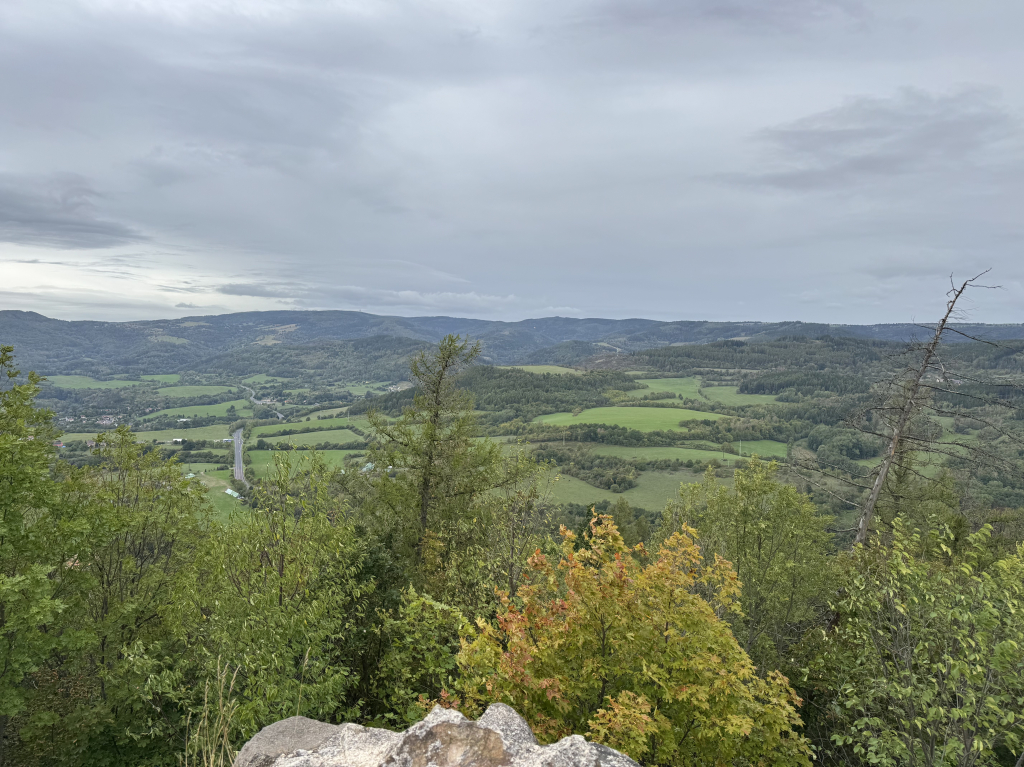 IMG_6740.jpeg