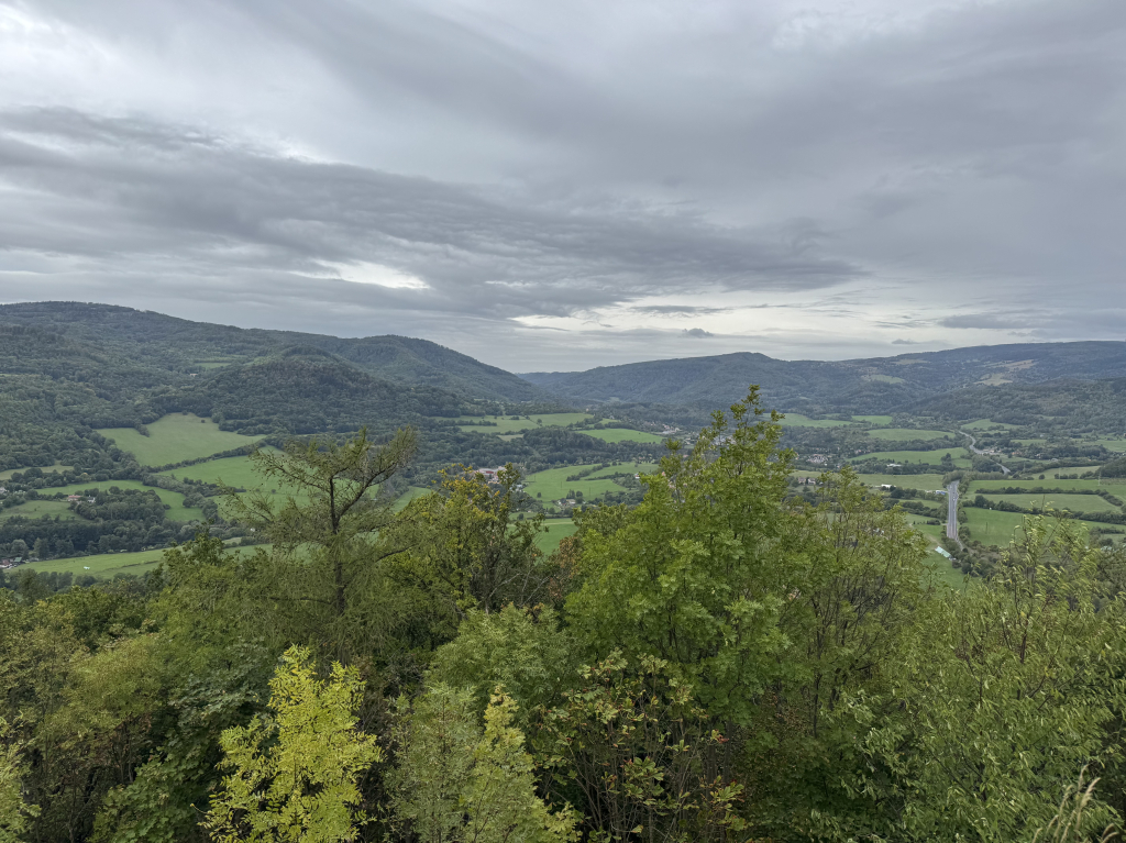 IMG_6739.jpeg