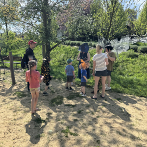 IMG_4214.jpeg