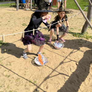 IMG_0139.jpeg