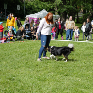preview_L1042551.JPG