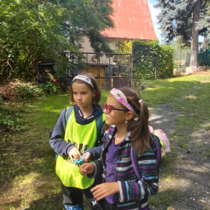 IMG_7722.jpeg