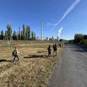 IMG_8113.jpeg