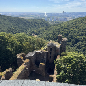 IMG_8158.jpeg