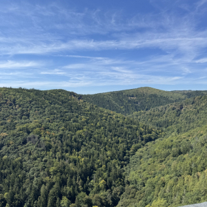 IMG_8159.jpeg