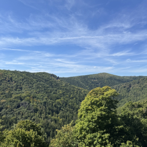 IMG_8174.jpeg