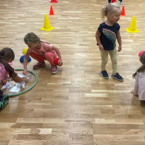 Čiperkové 2025/2026