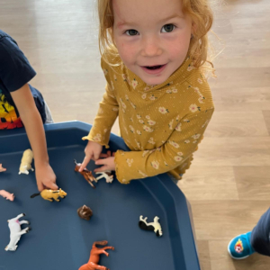 Angličtina před školou 2025/2026